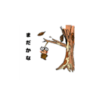 動物だっていろいろある4（個別スタンプ：7）