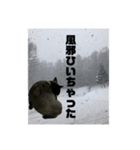 真っ黒わんこ:冬仕様（個別スタンプ：2）