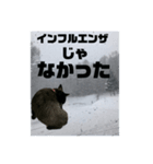 真っ黒わんこ:冬仕様（個別スタンプ：3）