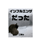 真っ黒わんこ:冬仕様（個別スタンプ：4）
