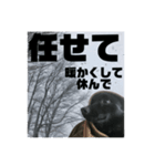 真っ黒わんこ:冬仕様（個別スタンプ：7）