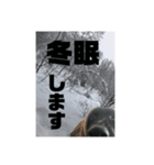 真っ黒わんこ:冬仕様（個別スタンプ：10）
