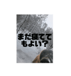 真っ黒わんこ:冬仕様（個別スタンプ：12）