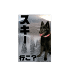 真っ黒わんこ:冬仕様（個別スタンプ：13）