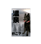 真っ黒わんこ:冬仕様（個別スタンプ：15）