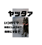 真っ黒わんこ:冬仕様（個別スタンプ：16）