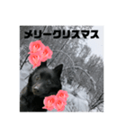 真っ黒わんこ:冬仕様（個別スタンプ：29）