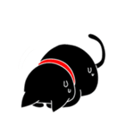 くろねこミンク（個別スタンプ：10）