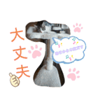 景虎(カゲトラ)君の仔猫スタンプ☆（個別スタンプ：28）