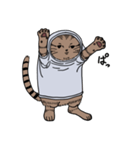 しゃつねこ(茶とら×文字T)（個別スタンプ：2）