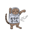 しゃつねこ(茶とら×文字T)（個別スタンプ：5）