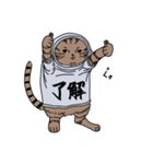 しゃつねこ(茶とら×文字T)（個別スタンプ：6）