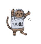 しゃつねこ(茶とら×文字T)（個別スタンプ：7）