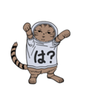 しゃつねこ(茶とら×文字T)（個別スタンプ：12）