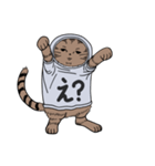 しゃつねこ(茶とら×文字T)（個別スタンプ：13）