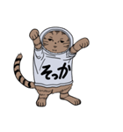 しゃつねこ(茶とら×文字T)（個別スタンプ：14）