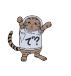 しゃつねこ(茶とら×文字T)（個別スタンプ：15）