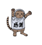 しゃつねこ(茶とら×文字T)（個別スタンプ：16）