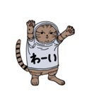 しゃつねこ(茶とら×文字T)（個別スタンプ：18）
