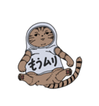 しゃつねこ(茶とら×文字T)（個別スタンプ：21）