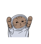 しゃつねこ(茶とら×文字T)（個別スタンプ：22）