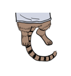 しゃつねこ(茶とら×文字T)（個別スタンプ：24）