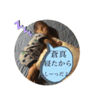 新 そうま だよ！（個別スタンプ：15）