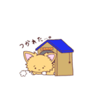 ポメチワ みたらしさん2（個別スタンプ：15）
