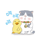 猫家族08 木木とYAYA(かも)-日常会話（個別スタンプ：9）