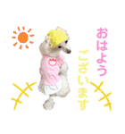 くるみちゃんのつぶやき（個別スタンプ：1）