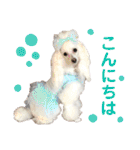 くるみちゃんのつぶやき（個別スタンプ：2）