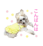 くるみちゃんのつぶやき（個別スタンプ：4）