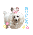 くるみちゃんのつぶやき（個別スタンプ：5）