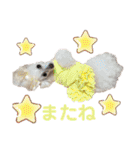くるみちゃんのつぶやき（個別スタンプ：8）