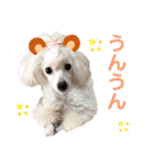 くるみちゃんのつぶやき（個別スタンプ：11）