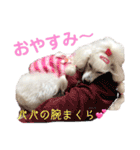くるみちゃんのつぶやき（個別スタンプ：16）
