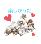 くるみちゃんのつぶやき（個別スタンプ：19）