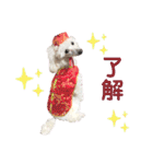 くるみちゃんのつぶやき（個別スタンプ：23）