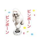 くるみちゃんのつぶやき（個別スタンプ：30）