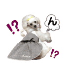 くるみちゃんのつぶやき（個別スタンプ：31）