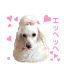 くるみちゃんのつぶやき（個別スタンプ：32）