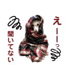 くるみちゃんのつぶやき（個別スタンプ：33）