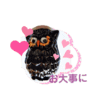 フクロウいっぱい*（個別スタンプ：14）