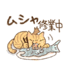 おせねこスタンプ（個別スタンプ：26）