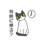 はちわれねこの家族会話（個別スタンプ：13）