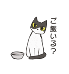 はちわれねこの家族会話（個別スタンプ：14）