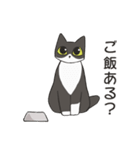 はちわれねこの家族会話（個別スタンプ：15）