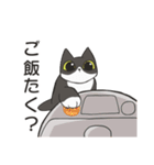 はちわれねこの家族会話（個別スタンプ：16）