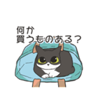 はちわれねこの家族会話（個別スタンプ：17）