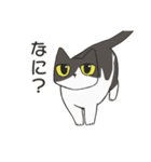 はちわれねこの家族会話（個別スタンプ：19）